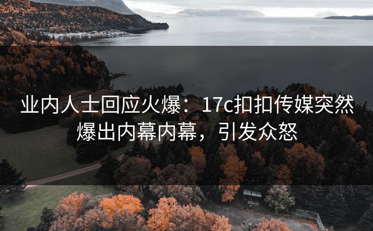 业内人士回应火爆：17c扣扣传媒突然爆出内幕内幕，引发众怒