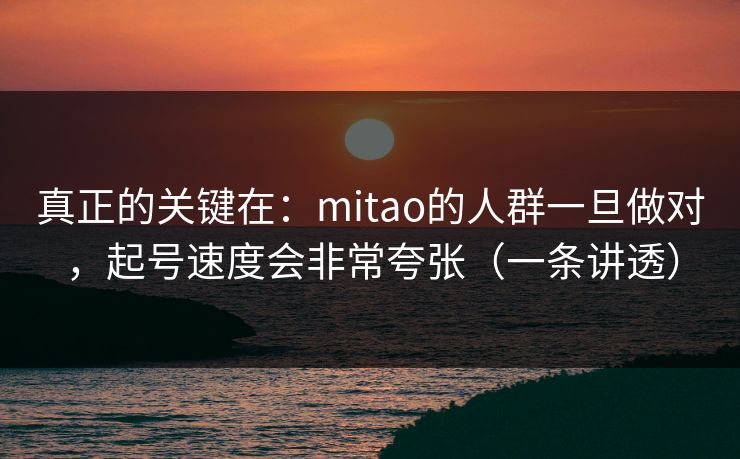 真正的关键在：mitao的人群一旦做对，起号速度会非常夸张（一条讲透）